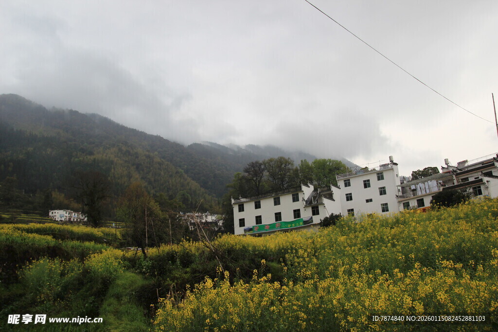 山村春日田园风光美景