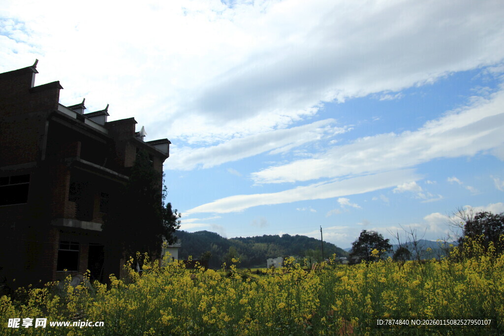 田野旁的古朴建筑