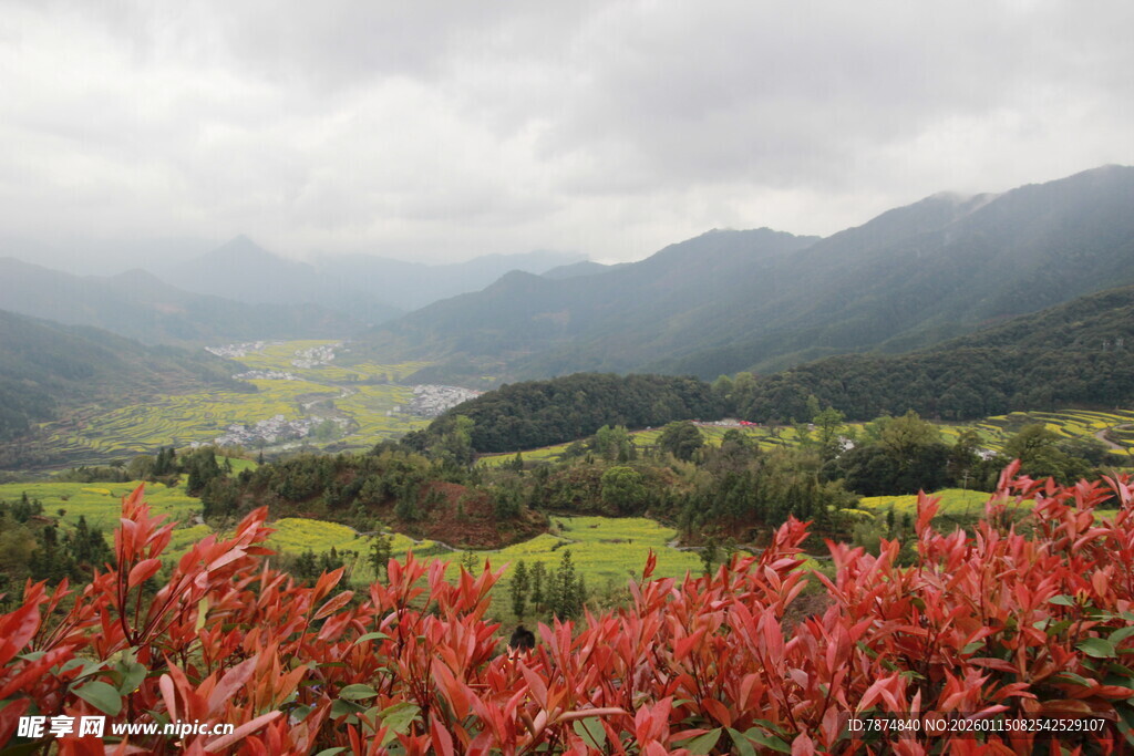 山间红植与远阔田园风光