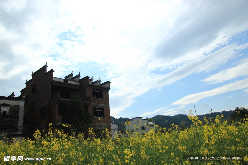 黄花簇拥下的古老建筑