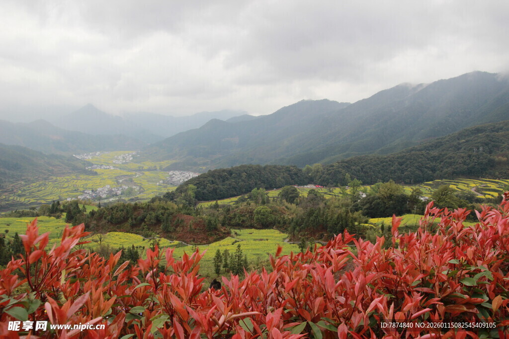 山间红植与绿野美景