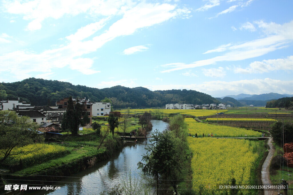 乡村田园风光 小河油菜花