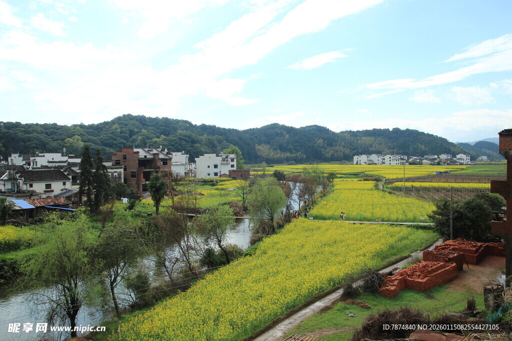 春日乡村田园风光美景