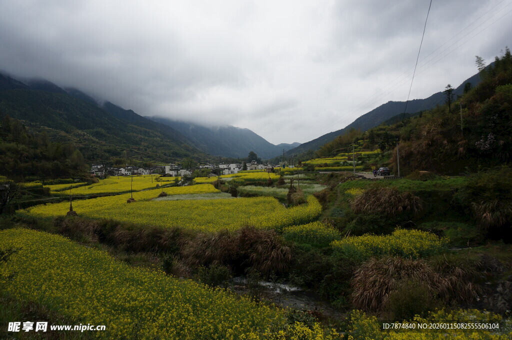 山间油菜田乡村美景