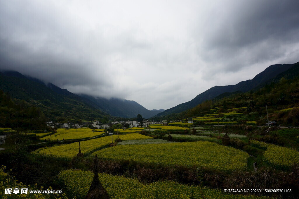 山间梯田云雾缭绕美景