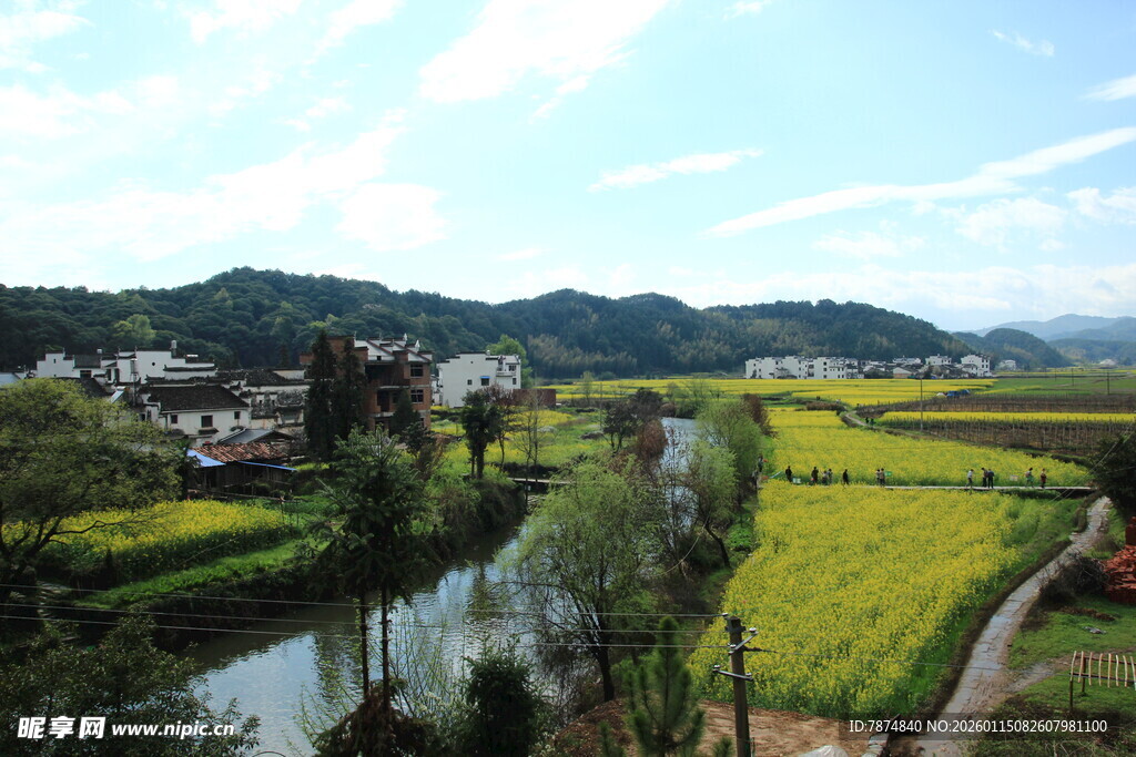 春日乡村田园风光美景