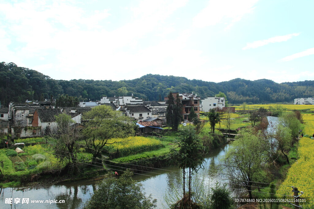 乡村河畔美景如画