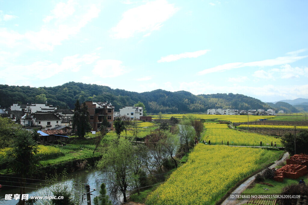 春日乡村田园美丽风光