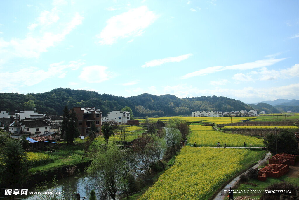 春日乡村田园美丽景致