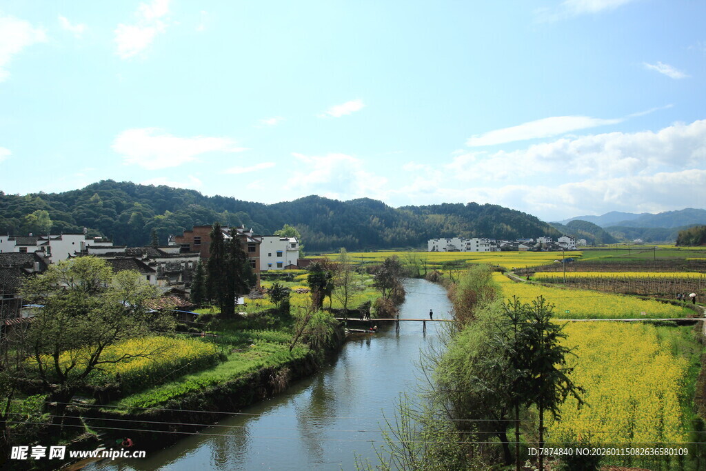 乡村河畔的明艳田园风光