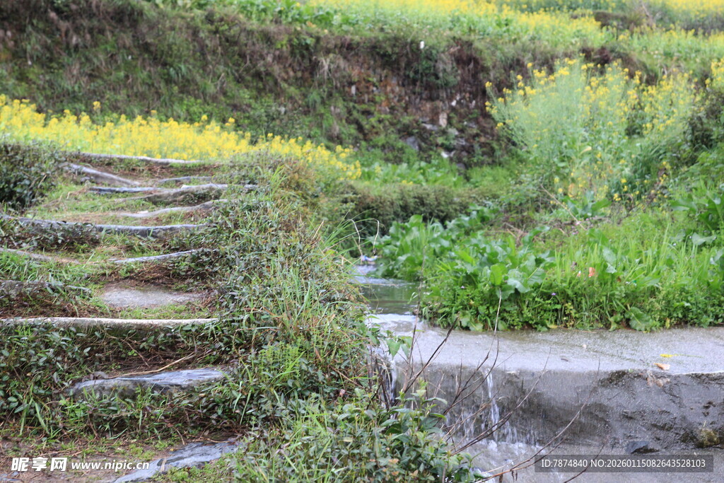 山间小径旁的多彩田园风光