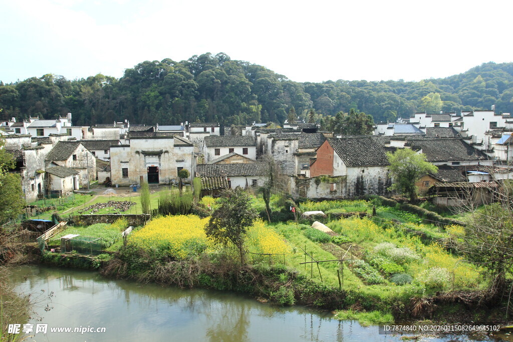 江南水乡田园村落美景