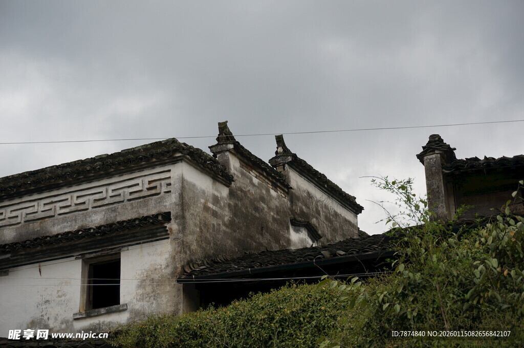 古朴徽派建筑隐于草木间