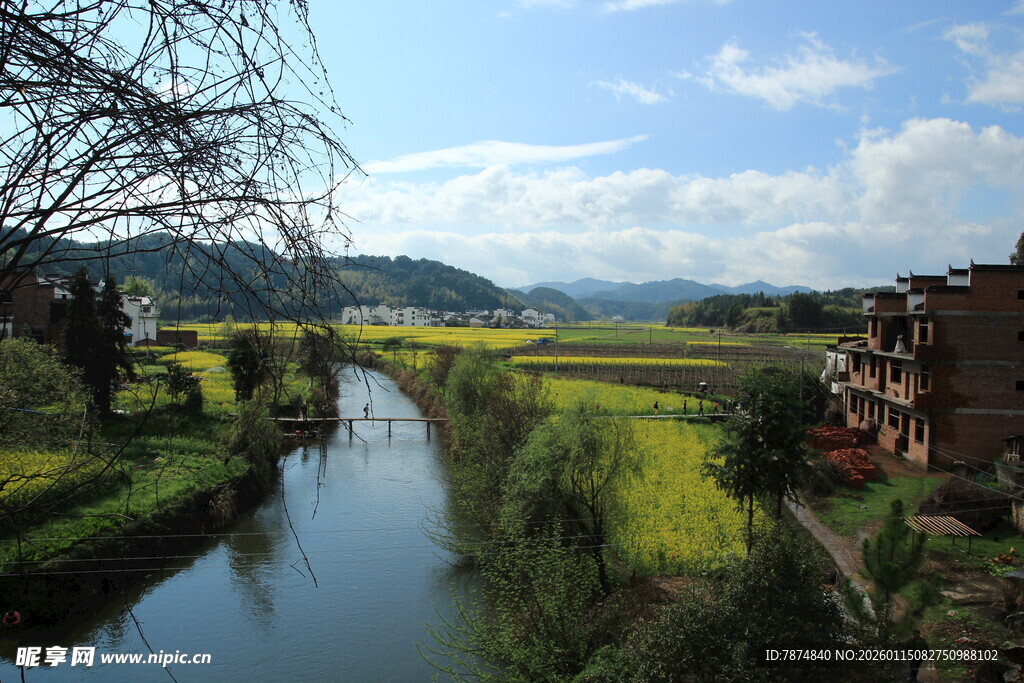 乡村河畔田园风光美景