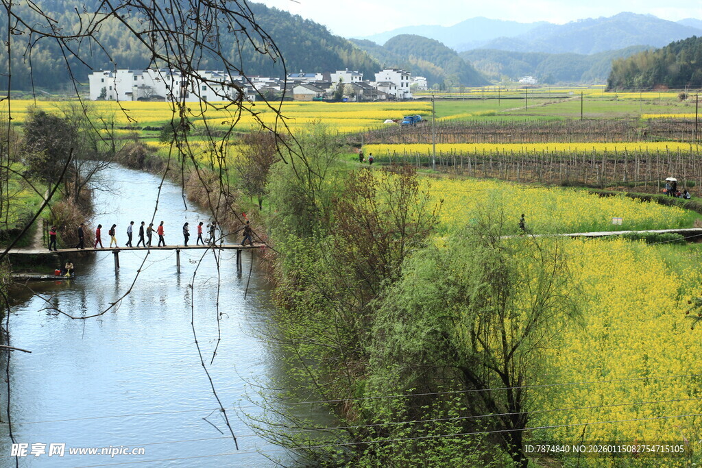 乡村河畔田园风光美景