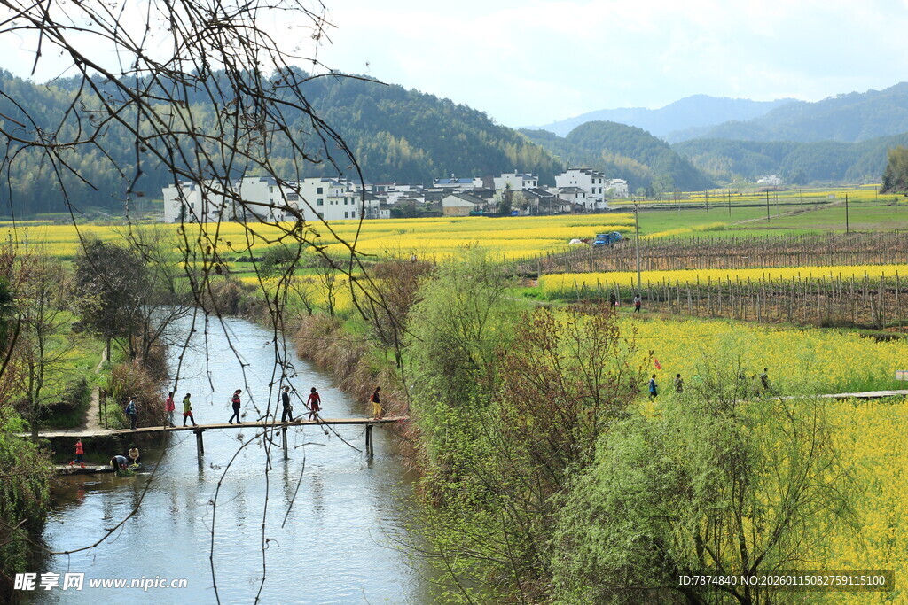 乡村河畔的春日田园风光