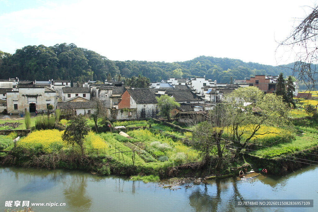河畔乡村美景如画