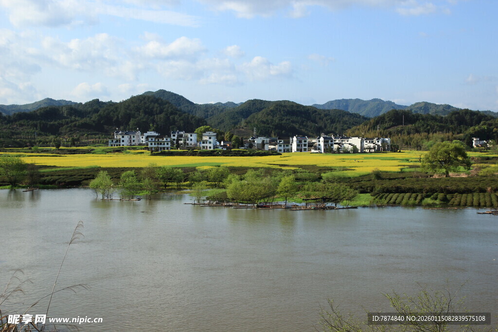 河畔田园风光美景
