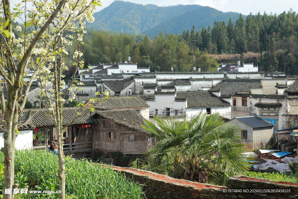 山村景致 古朴村落风光