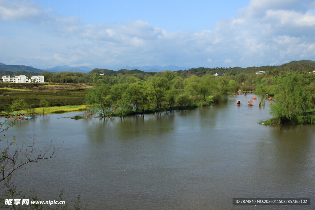 河畔风光 绿意盎然的景致