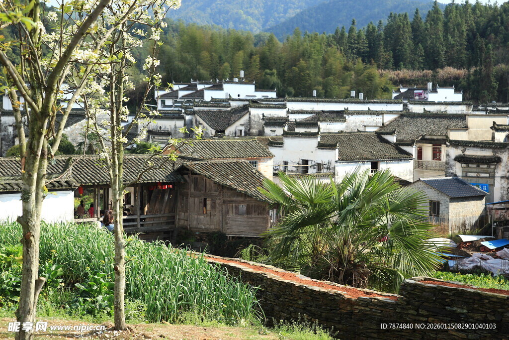 古朴村落 自然风光相伴