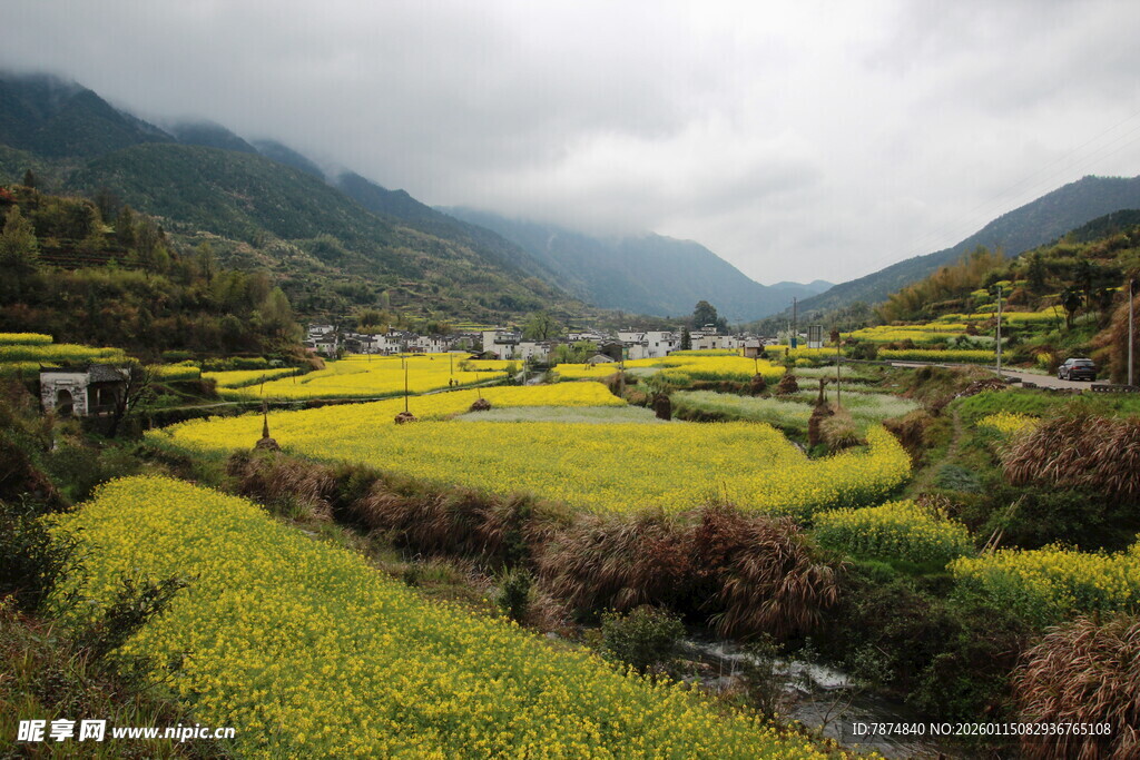 山间油菜田乡村美景