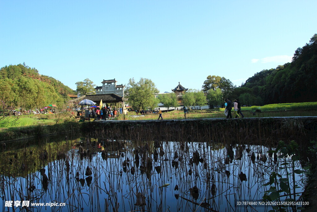 湖畔风光 静谧自然景致