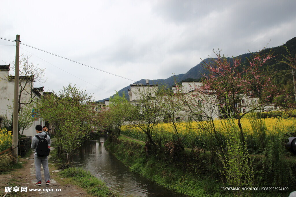 乡村小径旁的美丽田园风光