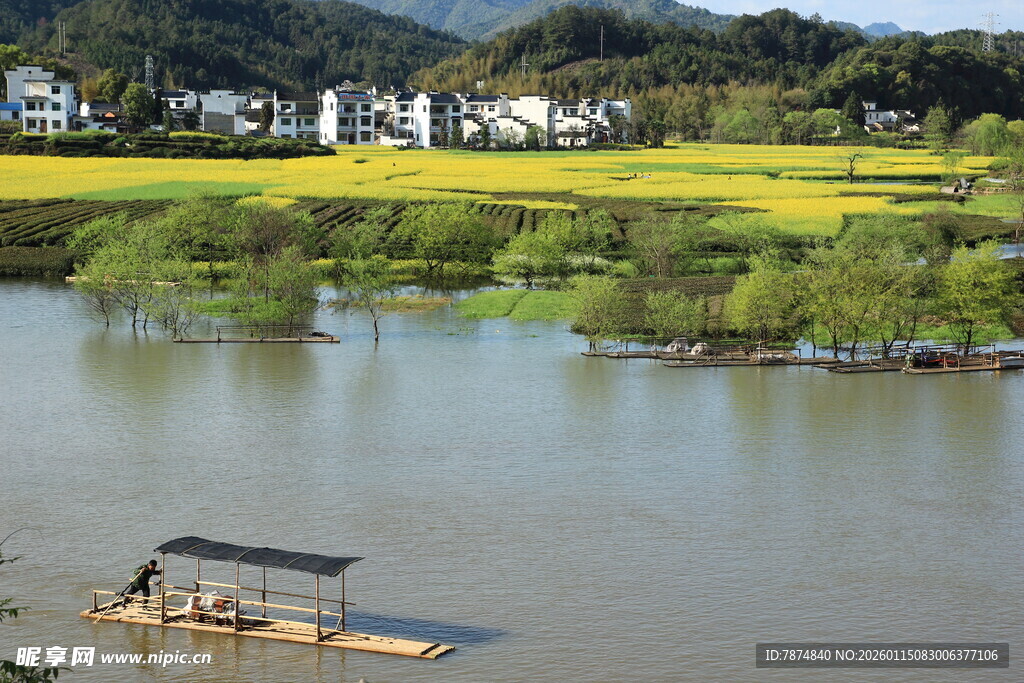 水乡田园风光中的小船