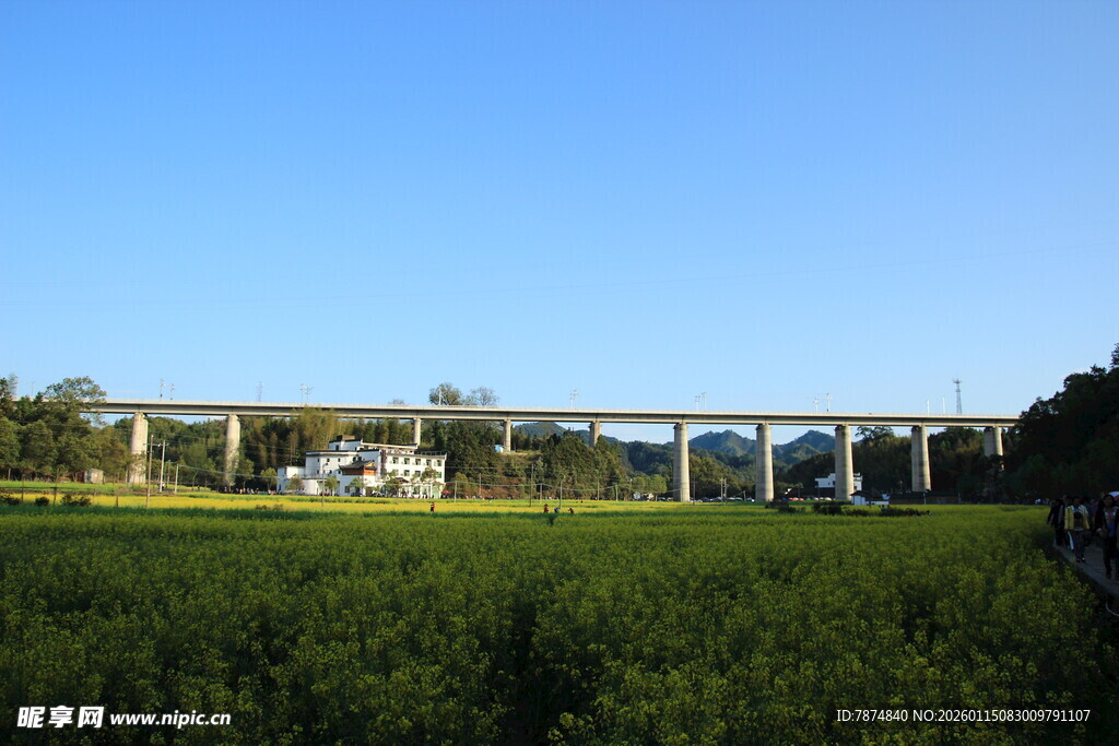 田野上的高架桥