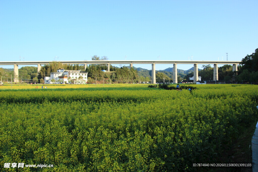 田野上的高架桥风景