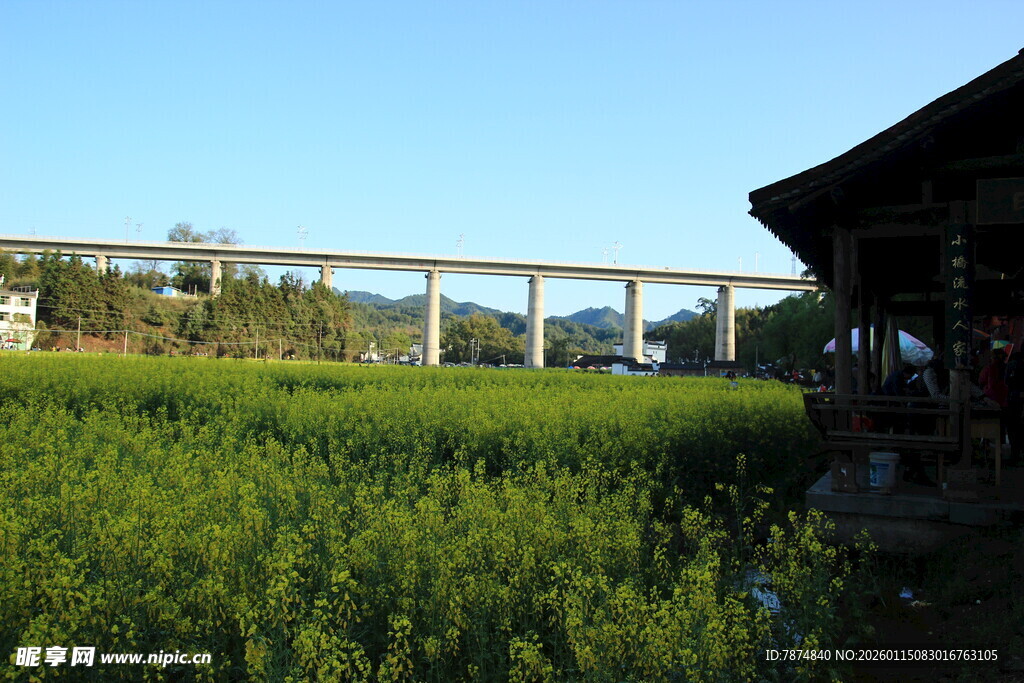 田野旁的桥梁与小屋