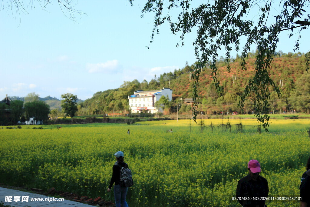 乡村田野中的漫步人群