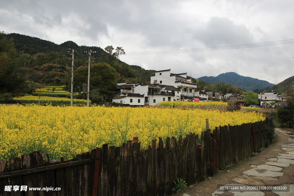 乡村田野间的美丽田园风光
