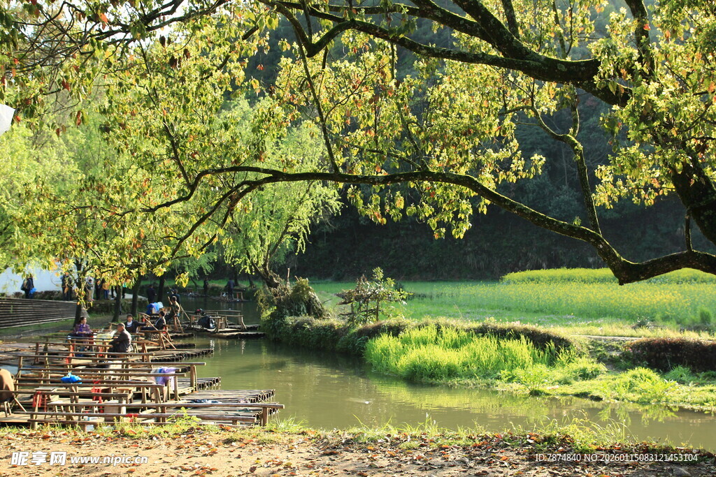 河畔绿荫下的惬意休闲时光