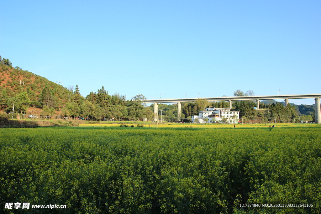 田野上的高架桥