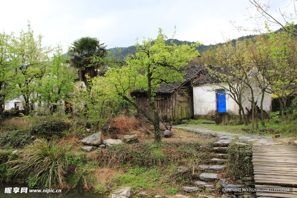 乡村小屋旁的自然景致