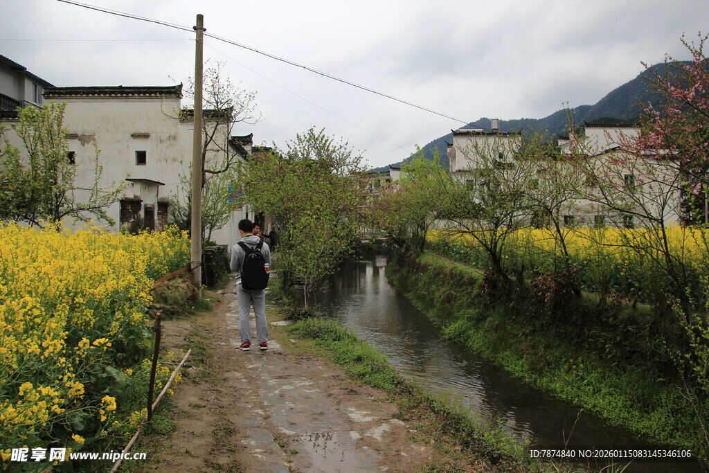 乡间小道漫步赏油菜花海