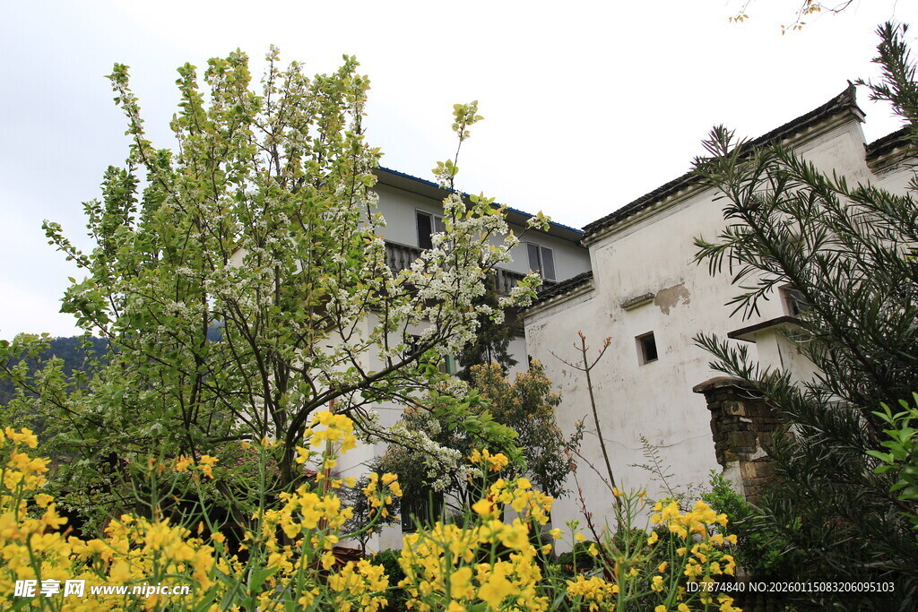 花丛中的古朴建筑