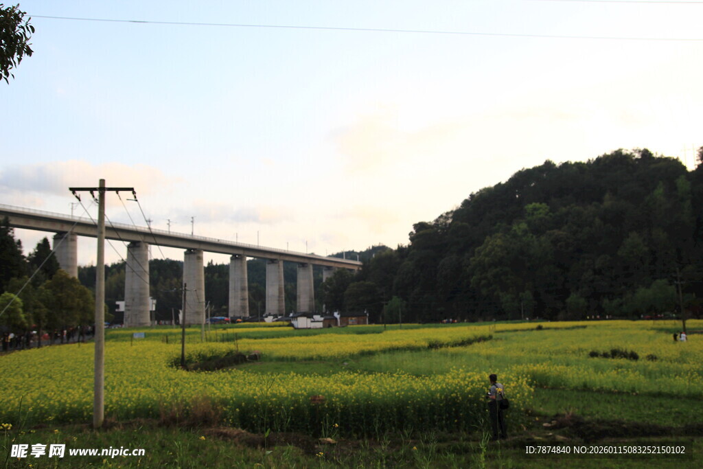 田野上的高架桥风景