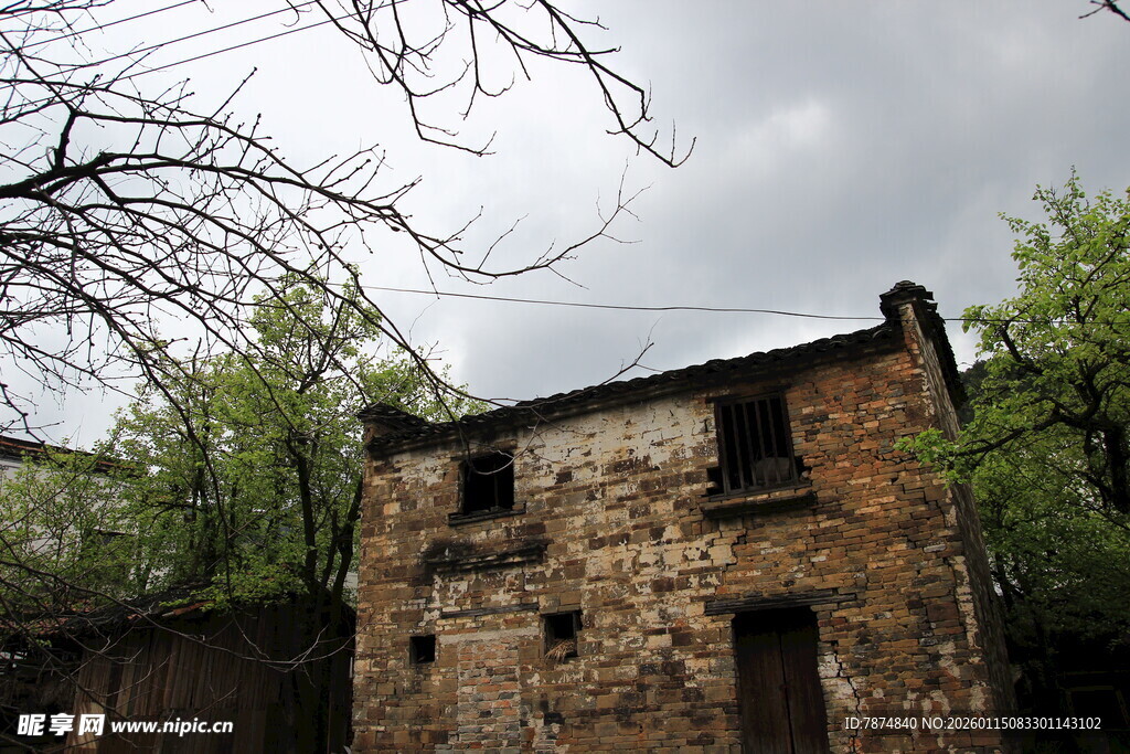 破旧老房隐于树林间