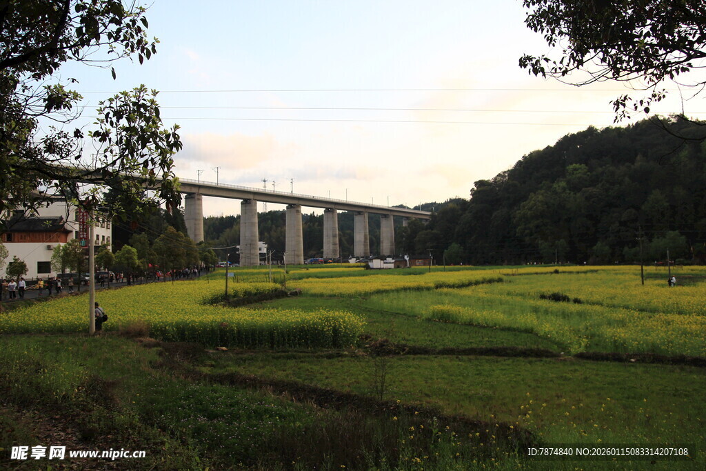 田野上的桥梁风景