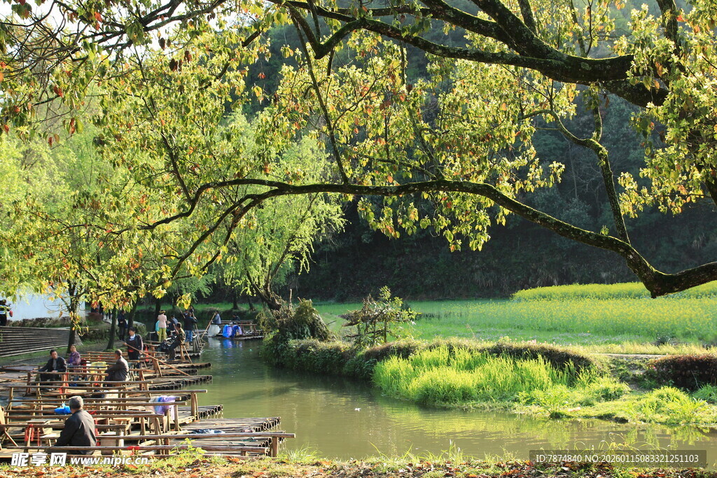 乡村溪边绿意盎然景致