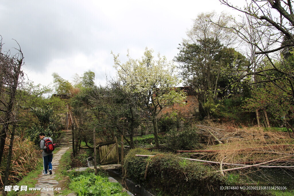 漫步山林间的徒步者