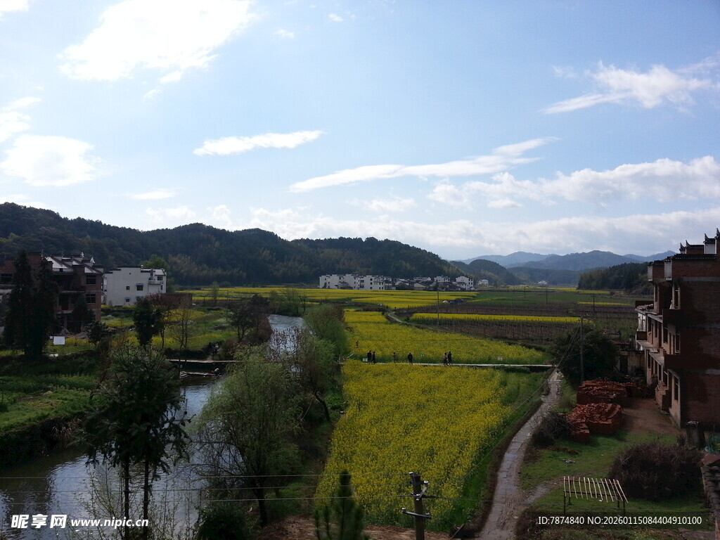 春日乡村田园风光美景