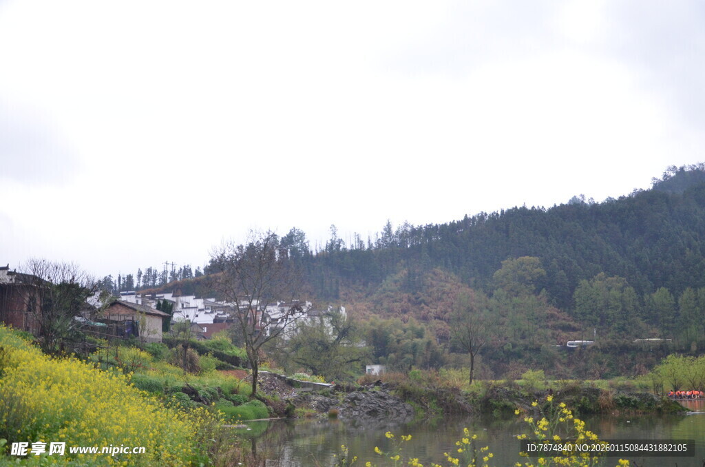 山村春日美景如画