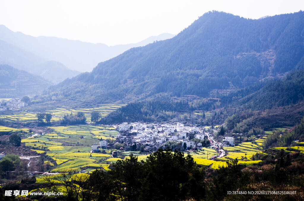 山间村落与金黄田野美景
