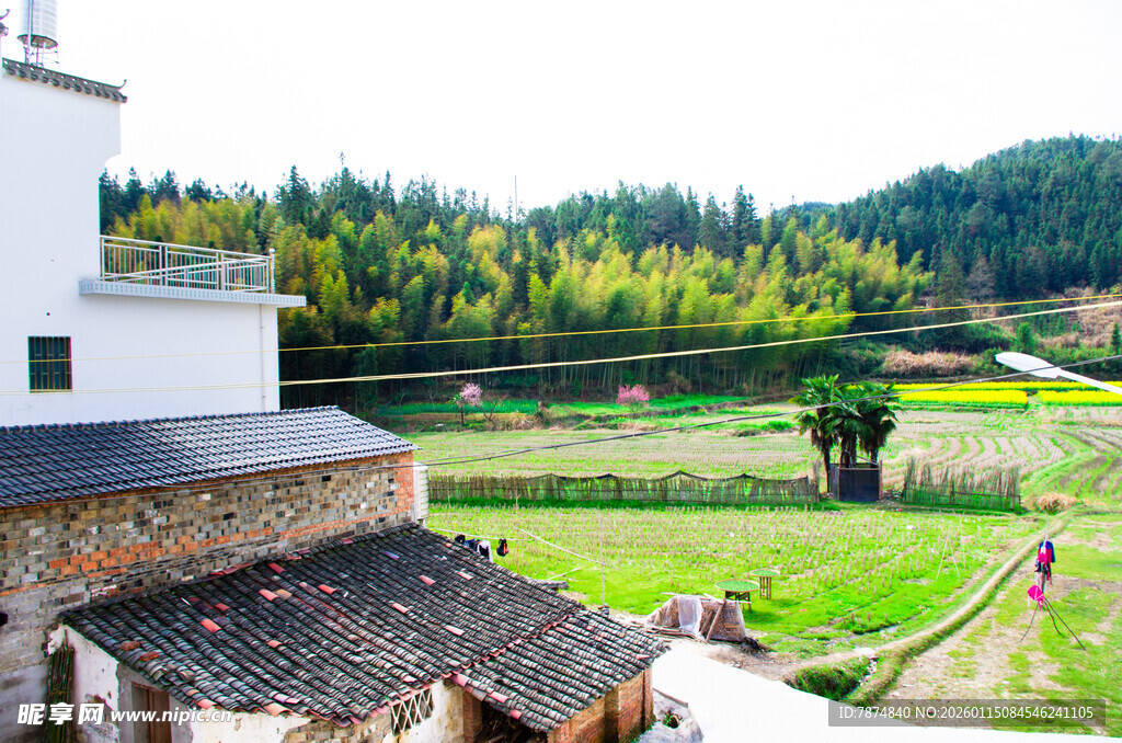 乡村田园风光 宁静村落
