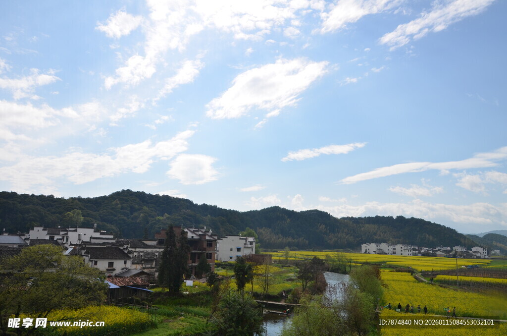 田园风光美景如画