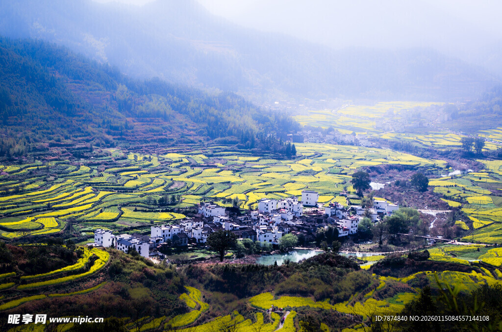 山间村落油菜花田美景